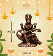 SARASVATHI ANNAM IDOLS