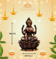 LOTUS LAKHSMI IDOLS